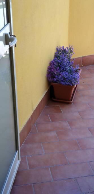 Borgo San Giorgio Apartment Castelmola Exteriör bild